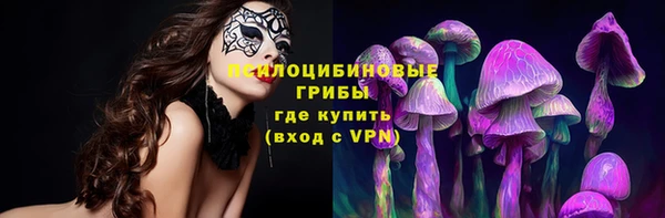 скорость Касимов
