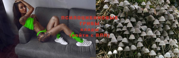 тгк Карпинск