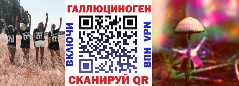 Галлюциногенные грибы Psilocybine cubensis  дарнет шоп  Чулым 