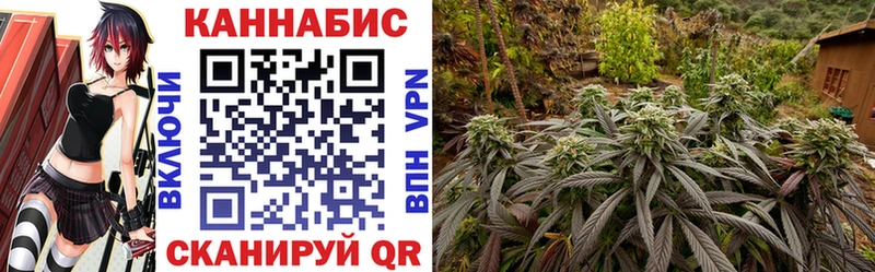 omg tor  Чулым  Бошки Шишки THC 21% 